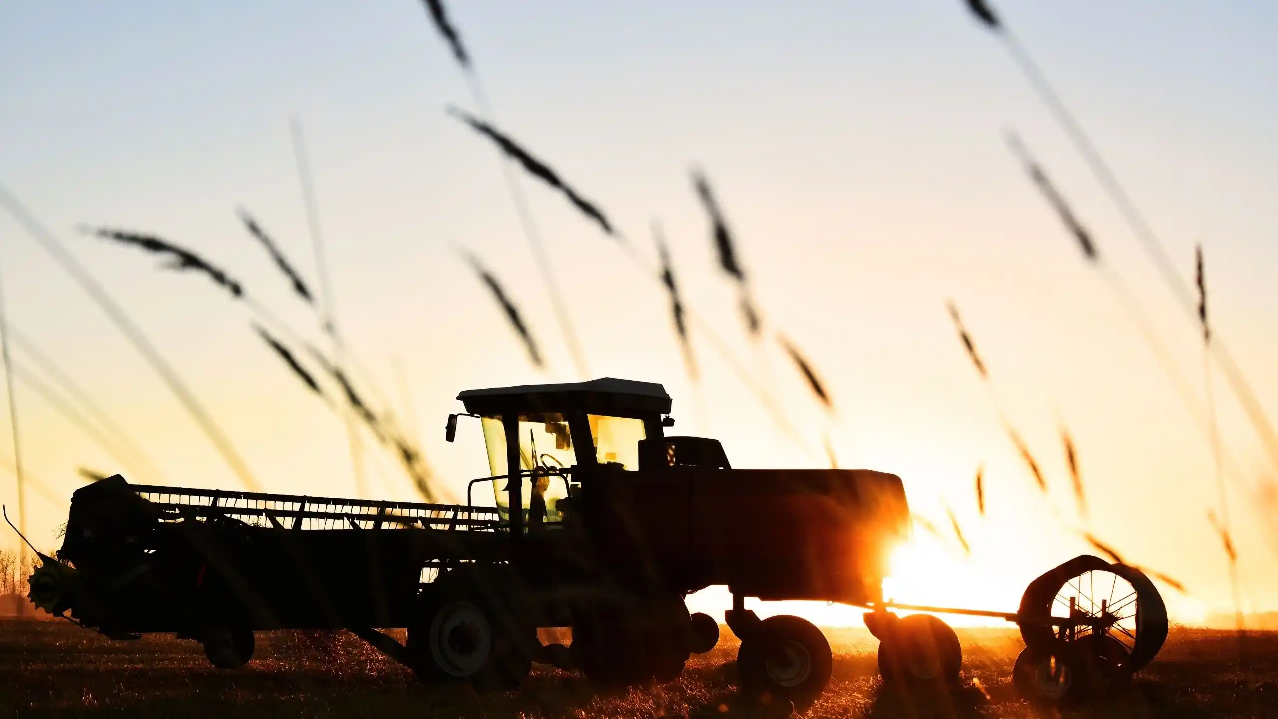 Sistema de Información de Explotaciones Agrícolas (SIEX)