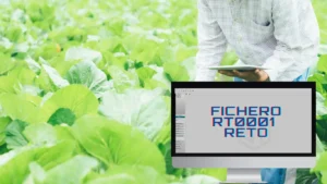 Fichero RT0001 Transacciones RETO Fitosanitario