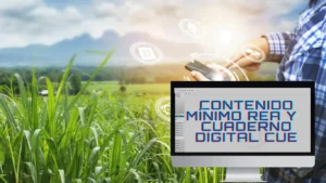 Contenido mínimo REA CUE