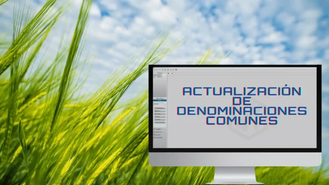 Denominaciones comunes