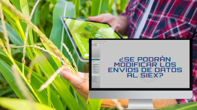 Envío de datos al SIEX