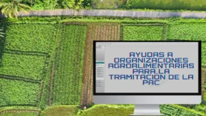 Ayudas a organizaciones agroalimentarias para la tramitación de la PAC