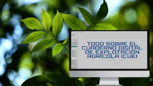 Posible aplazamiento CUE del SIEX