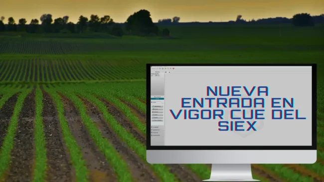 Entrada en vigor CUE del SIEX Entrada en vigor CUE del SIEX