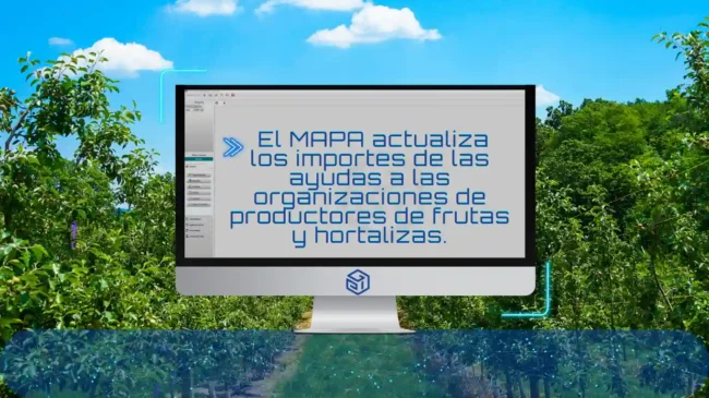 El MAPA actualiza los importes de las ayudas a las organizaciones de productores de frutas y hortalizas.