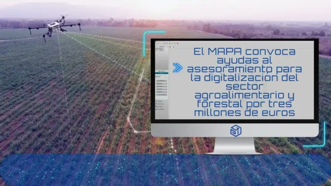 Ayudas para la digitalización del sector agroalimentario Ayudas para la digitalización del sector agroalimentario